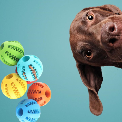 Bola Interativa para Cães Pequenos: Brinquedo Multifuncional com Borracha Elástica para Mastigar, Limpeza Dental e Recompensa com Petiscos!